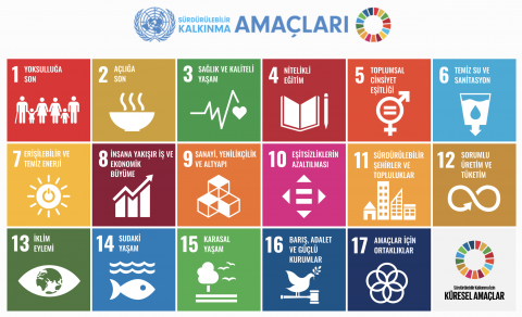 Sürdürülebilir Kalkınma için Küresel Amaçlar 17 Hedefi
